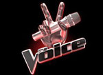 the voice groot succes